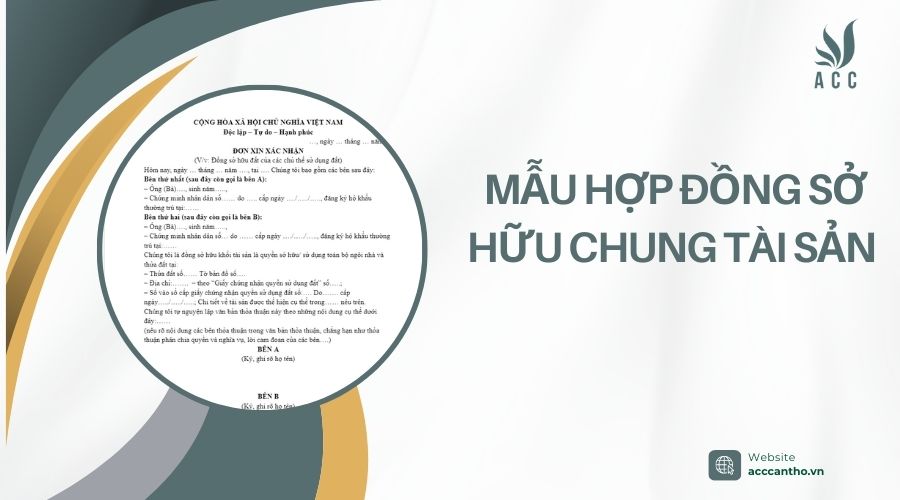 Mẫu hợp đồng sở hữu chung tài sản