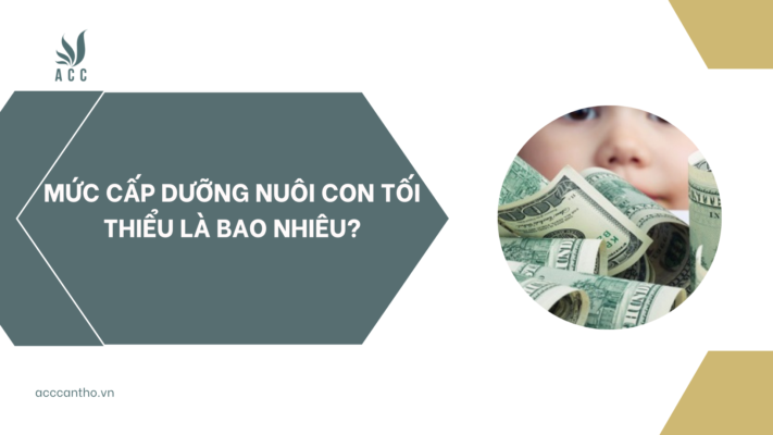 Mức cấp dưỡng nu&ocirc;i con tối thiểu l&agrave; bao nhi&ecirc;u?