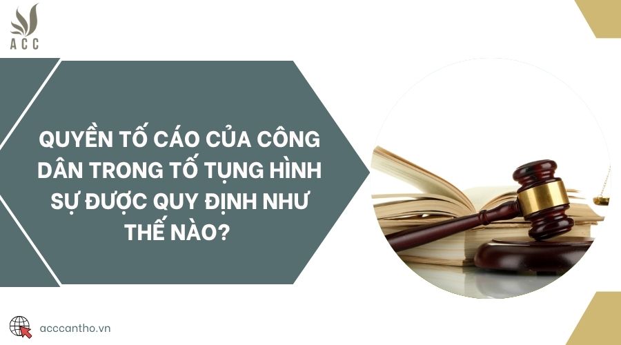 Quyền tố c&aacute;o của c&ocirc;ng d&acirc;n trong tố tụng h&igrave;nh sự được quy định như thế n&agrave;o?