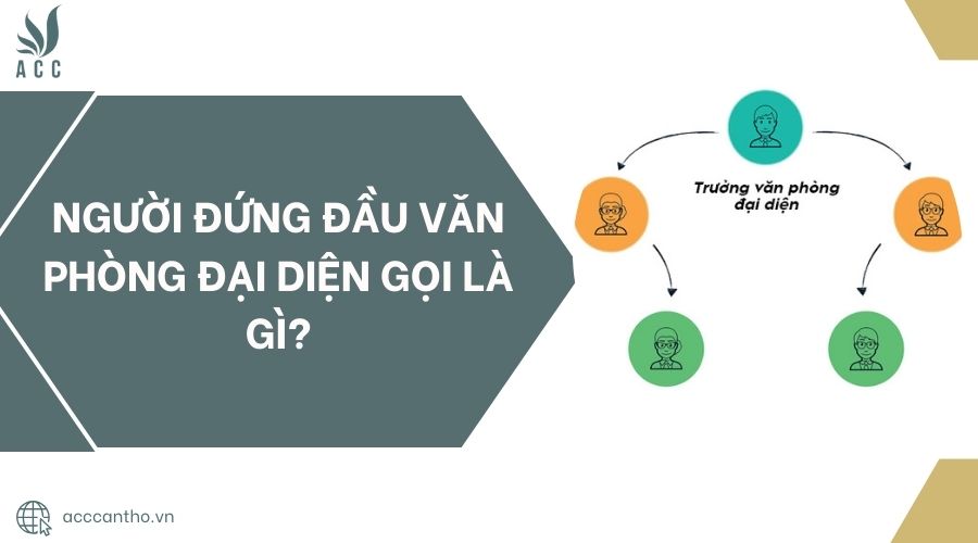 Người đứng đầu văn phòng đại diện gọi là gì?