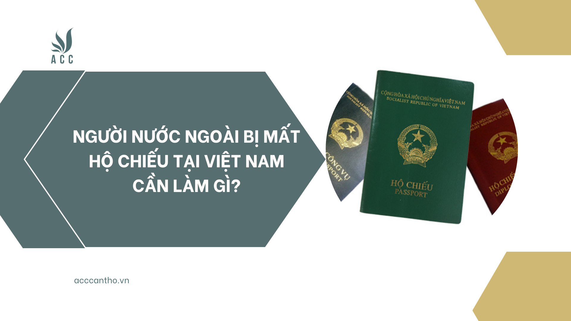 Người nước ngoài bị mất hộ chiếu tại Việt Nam cần làm gì?