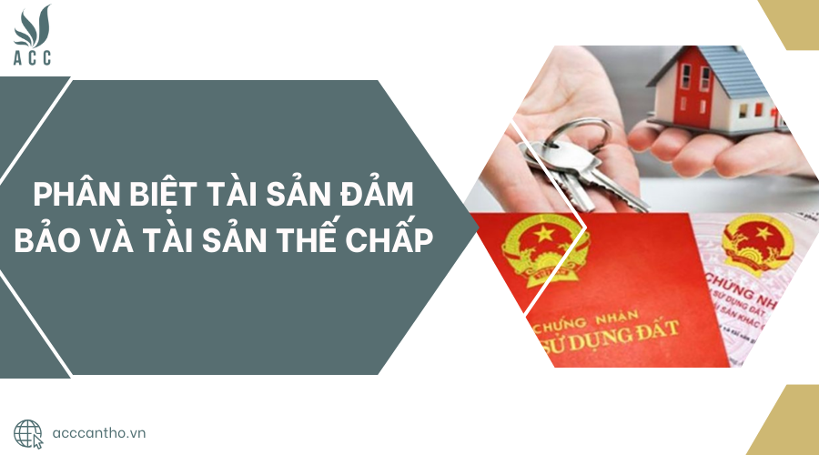 Phân biệt tài sản đảm bảo và tài sản thế chấp