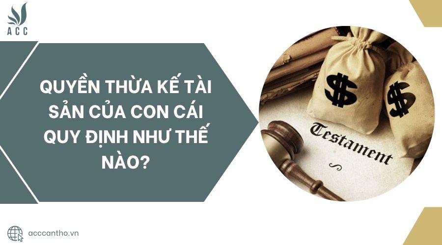 Quyền thừa kế tài sản của con cái quy định như thế nào?