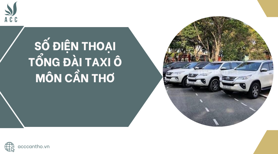 tổng đài taxi ô môn
