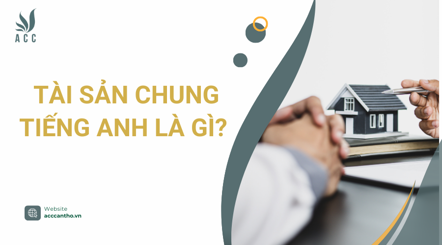 Tài sản chung tiếng Anh là gì?
