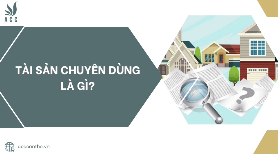 Tài sản chuyên dùng là gì?