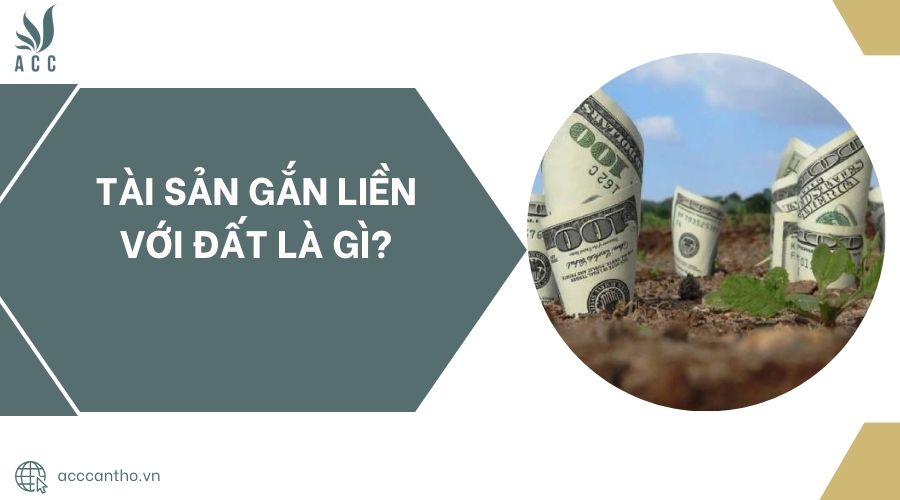 Tài sản gắn liền với đất là gì?