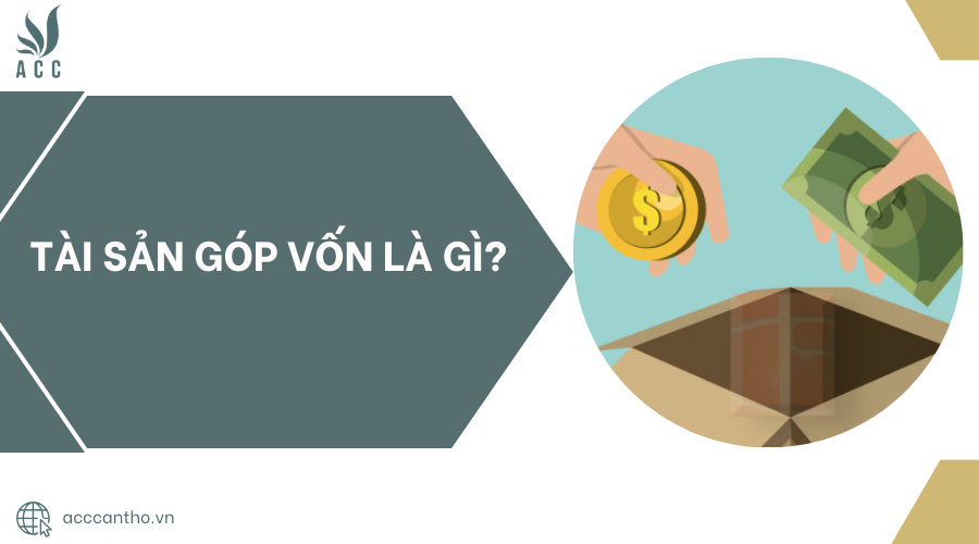 Tài sản góp vốn là gì?