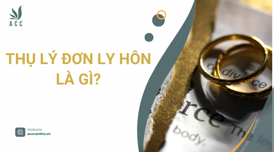 Thụ lý đơn ly hôn là gì