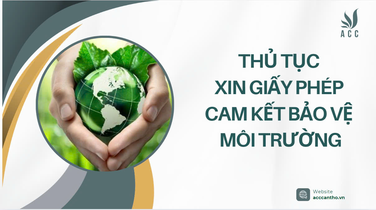 Thủ tục xin fv88 cam kết bảo vệ fv88 nhà cái