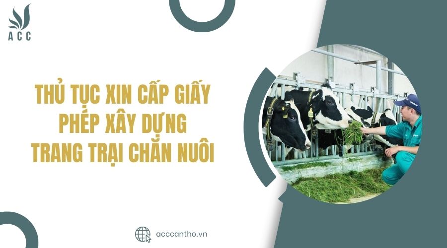 Thủ tục xin cấp giấy ph&eacute;p x&acirc;y dựng trang trại chăn nu&ocirc;i