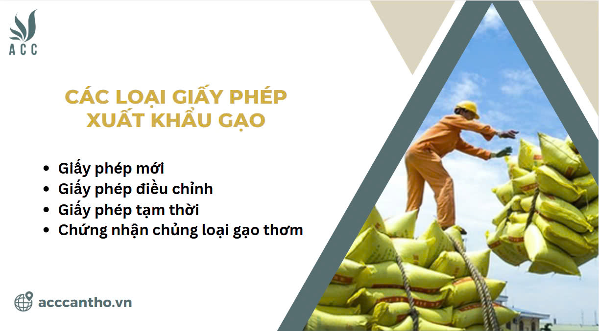 Các loại giấy phép xuất khẩu gạo