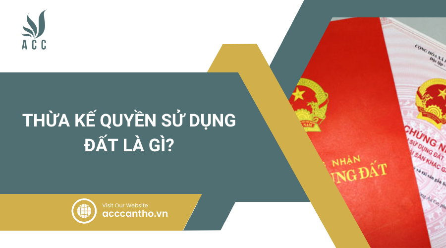 Thừa kế quyền sử dụng đất là gì? 