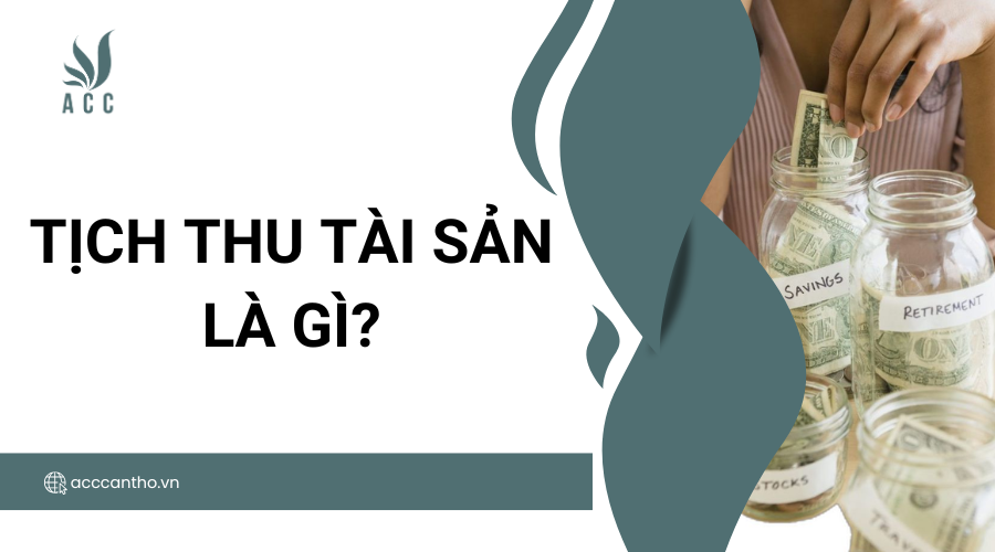 Tịch thu tài sản là gì?