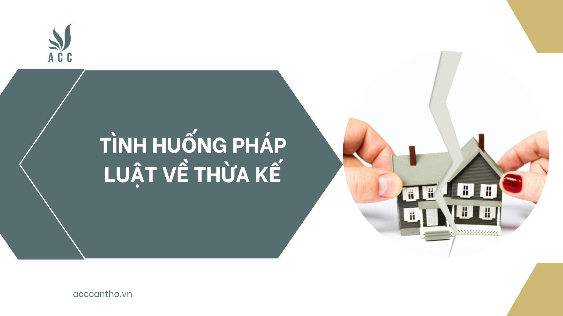 Tình huống pháp luật về thừa kế