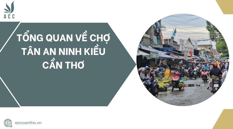 Tổng quan về Chợ Tân An Ninh Kiều Cần Thơ
