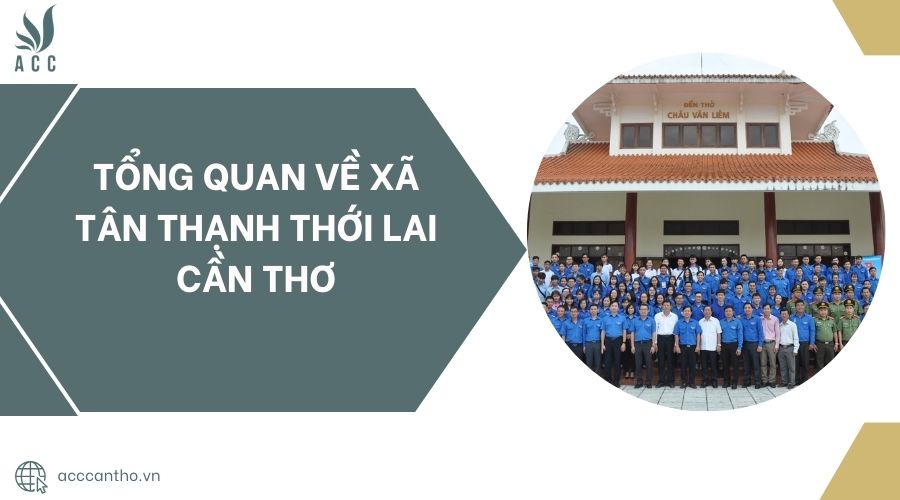 Tổng quan về xã Tân Thạnh Thới Lai Cần Thơ