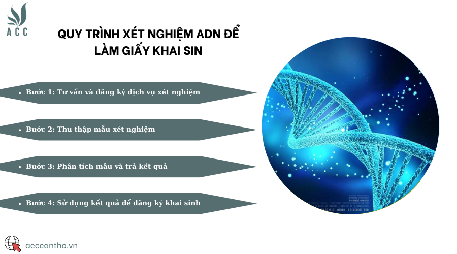 Quy trình xét nghiệm ADN để làm giấy khai sinh