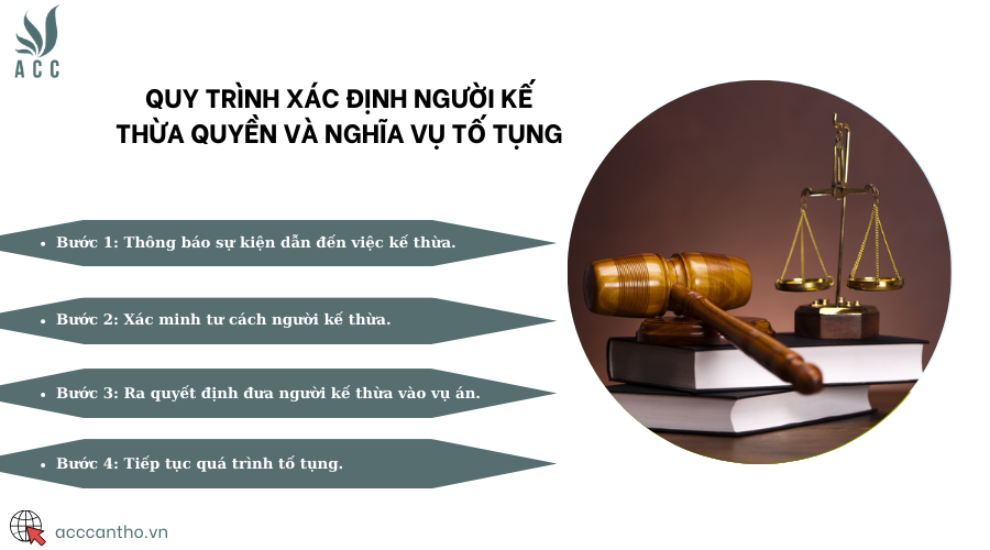 Quy trình xác định người kế thừa quyền và nghĩa vụ tố tụng