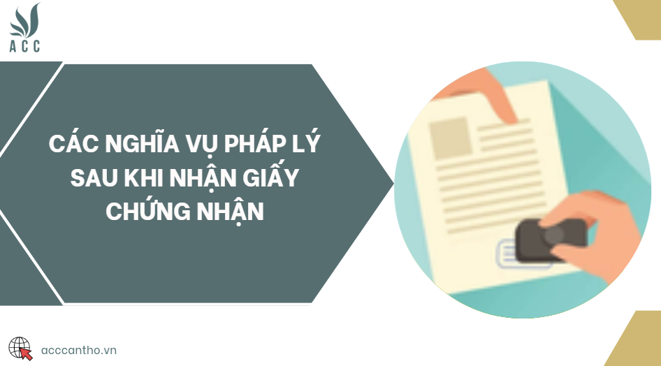 Các nghĩa vụ fv88 nhà cái sau khi nhận giấy chứng nhận