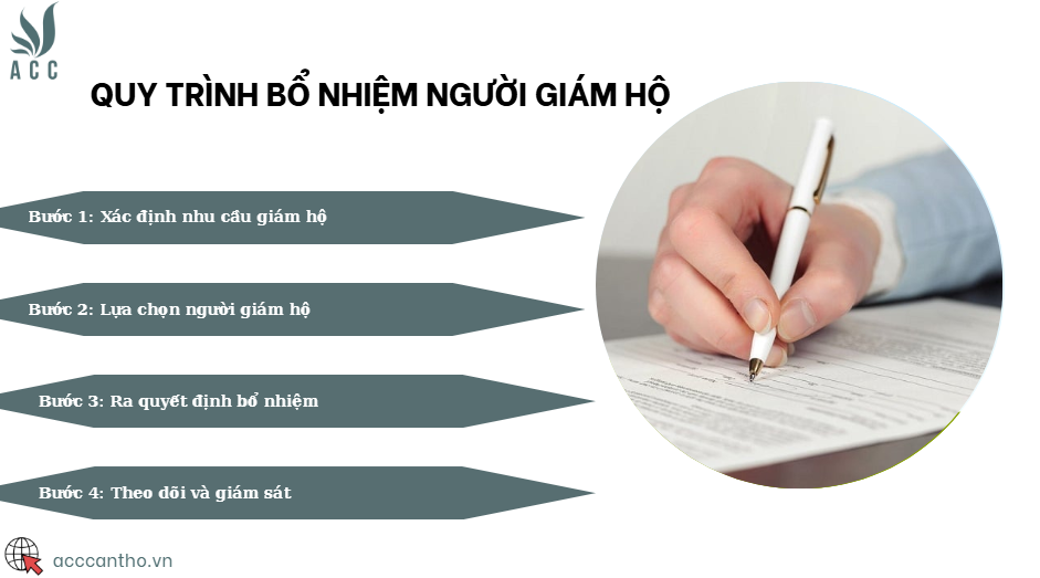 Quy trình bổ nhiệm người giám hộ