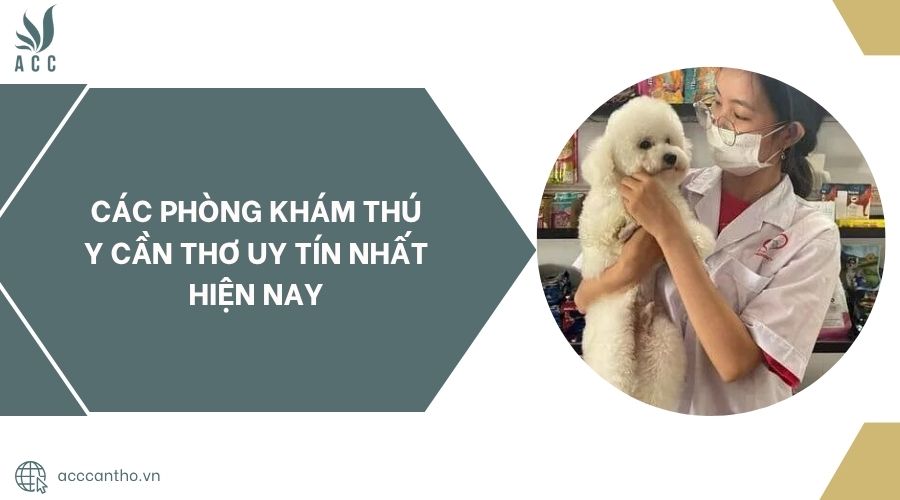 Các Phòng khám thú y Cần Thơ uy tín nhất hiện nay.jpg