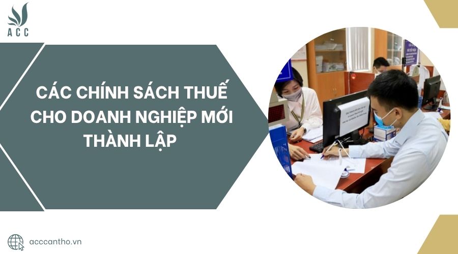 Các chính sách thuế cho doanh nghiệp mới thành lập.jpg