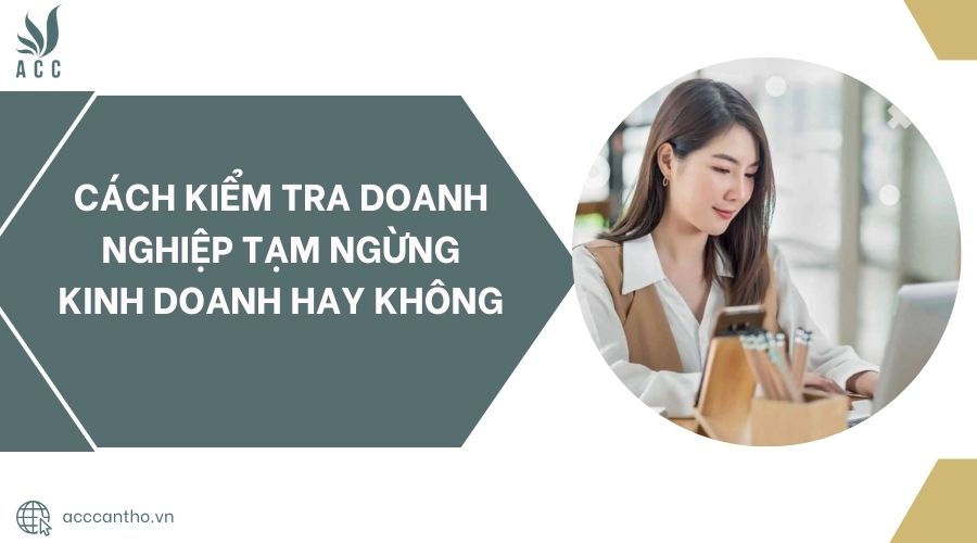 C&aacute;ch kiểm tra doanh nghiệp tạm ngừng fv888 hay kh&ocirc;ng