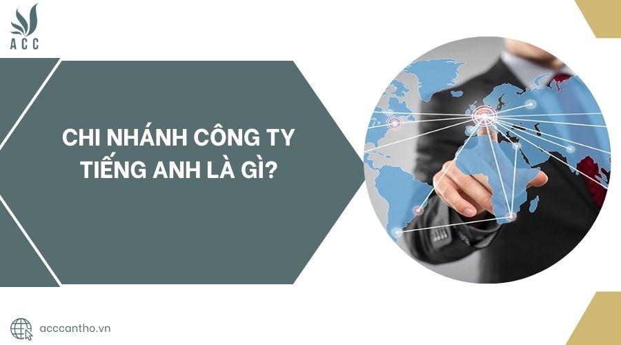 Chi nhánh công ty tiếng Anh là gì?