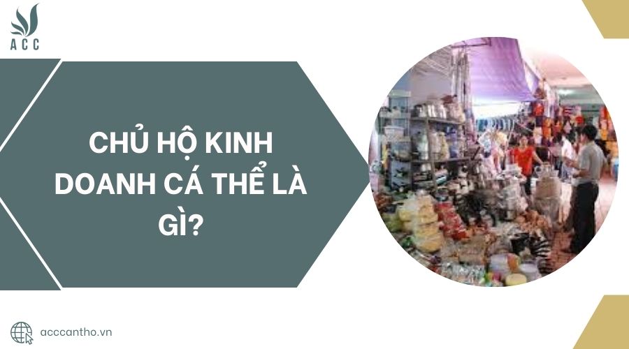 Chủ hộ fv888 cá thể là gì?