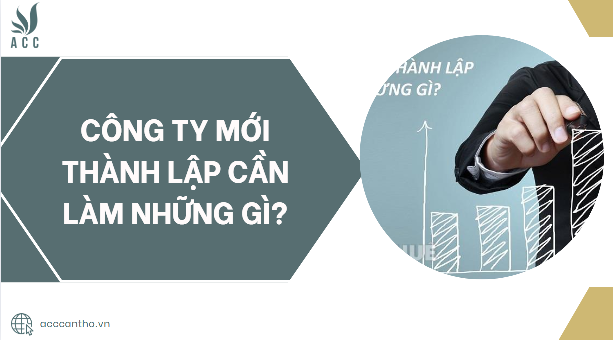 Công ty mới thành lập cần làm những gì?.jpg