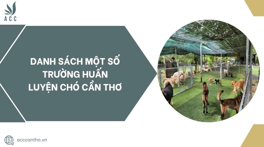 Danh sách một số Trường huấn luyện chó Cần Thơ.jpg