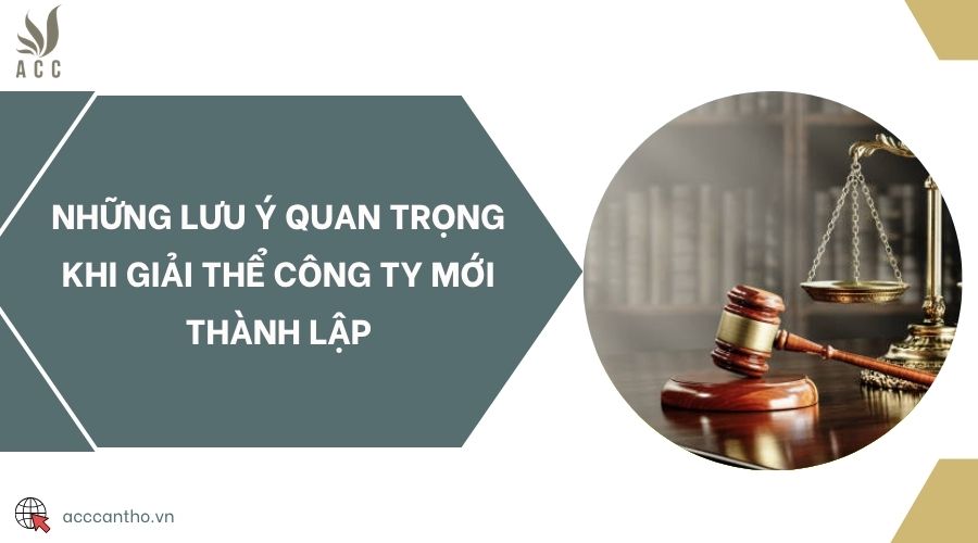 Những lưu ý quan trọng khi giải thể công ty mới thành lập