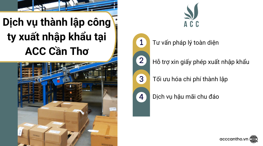 Dịch vụ thành lập công ty xuất nhập khẩu tại fv888