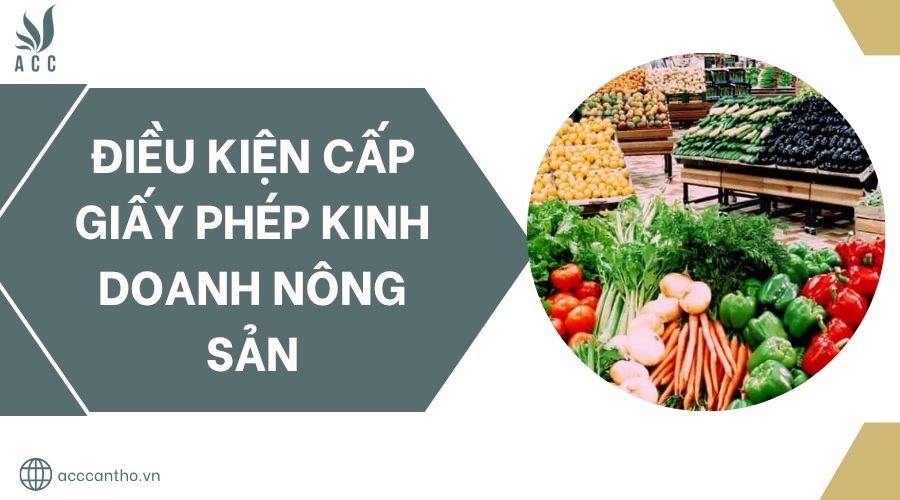 Điều kiện cấp giấy phép fv888 nông sản.jpg