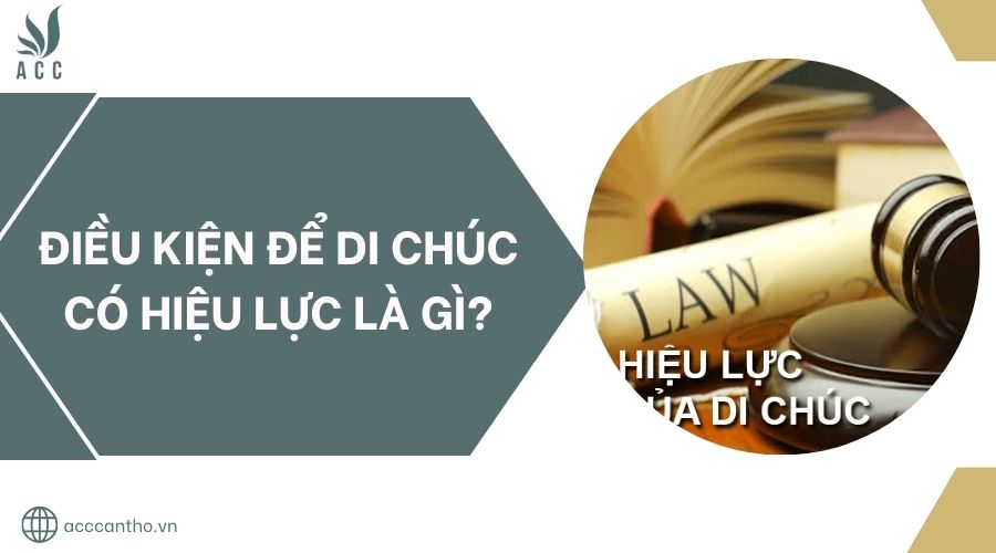 Điều kiện để di chúc có hiệu lực là gì?.jpg