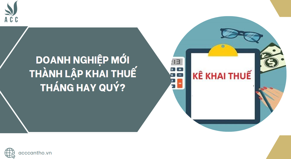 Doanh nghiệp mới thành lập khai thuế tháng hay quý?.jpg