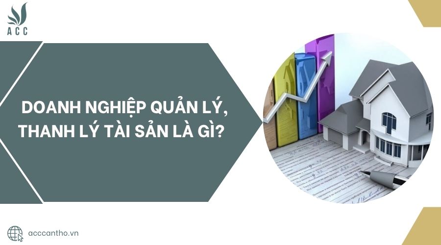 Doanh nghiệp quản lý, thanh lý tài sản là gì?.jpg