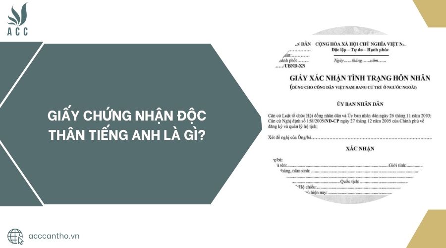 Giấy chứng nhận độc thân tiếng Anh là gì?.jpg