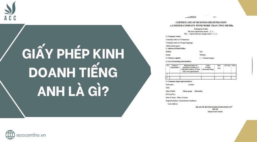 fv88 fv888 tiếng Anh là gì?.jpg