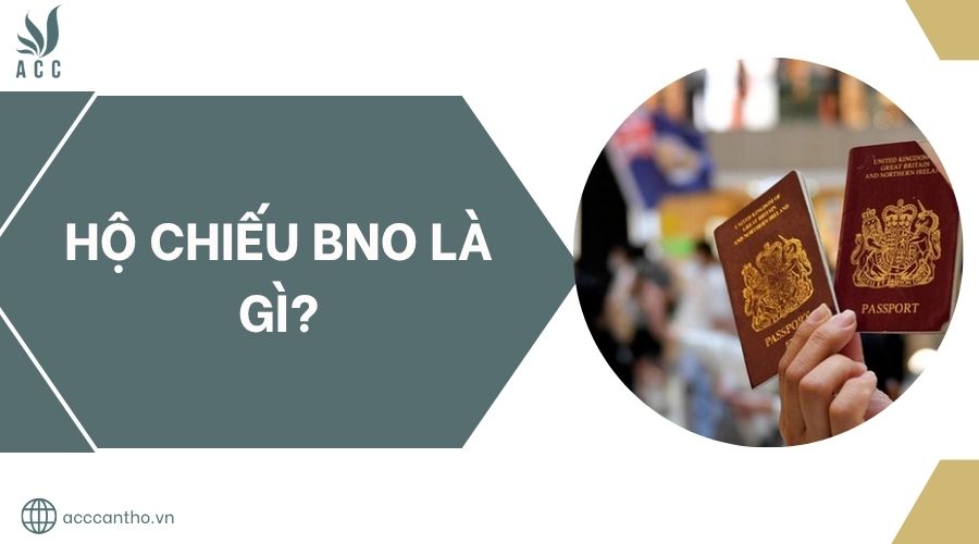 fv88 vn BNO là gì?.jpg