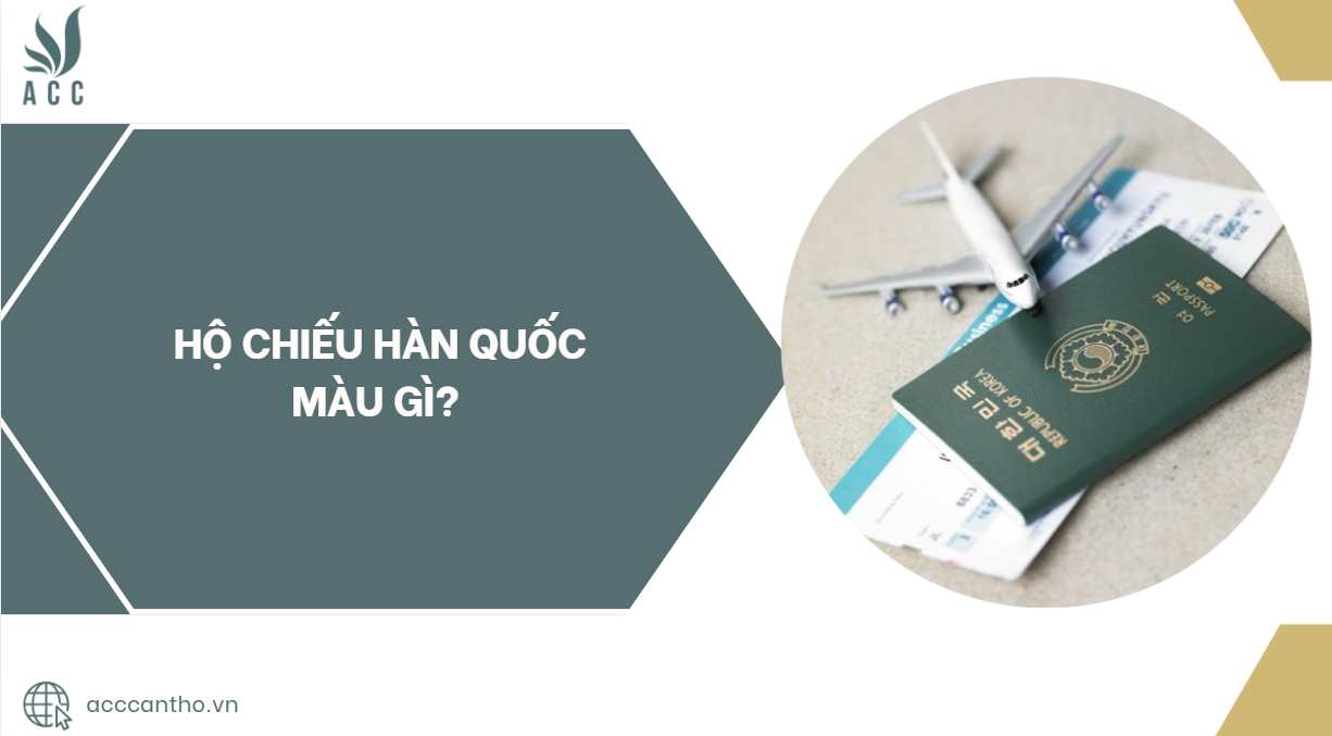fv88 vn Hàn Quốc màu gì?.jpg
