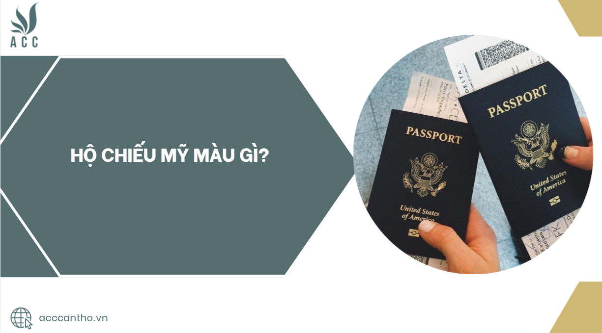 fv88 vn Mỹ màu gì?.jpg