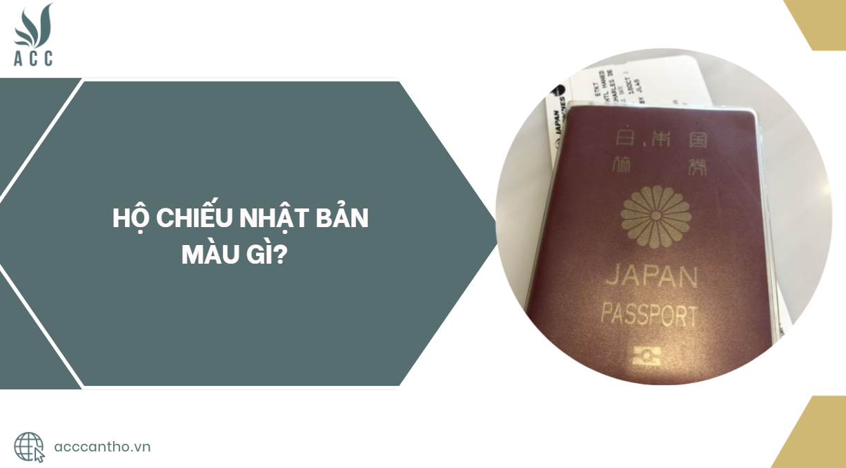 fv88 vn Nhật Bản màu gì?.jpg