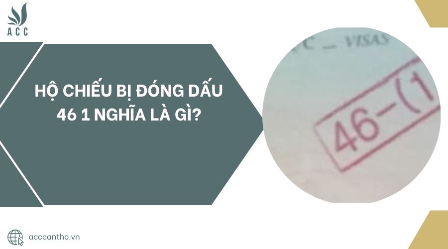 fv88 vn bị đóng dấu 46 1 nghĩa là gì?