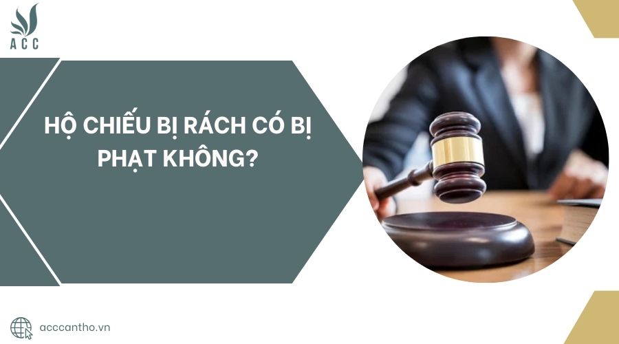fv88 vn bị rách có bị phạt không?