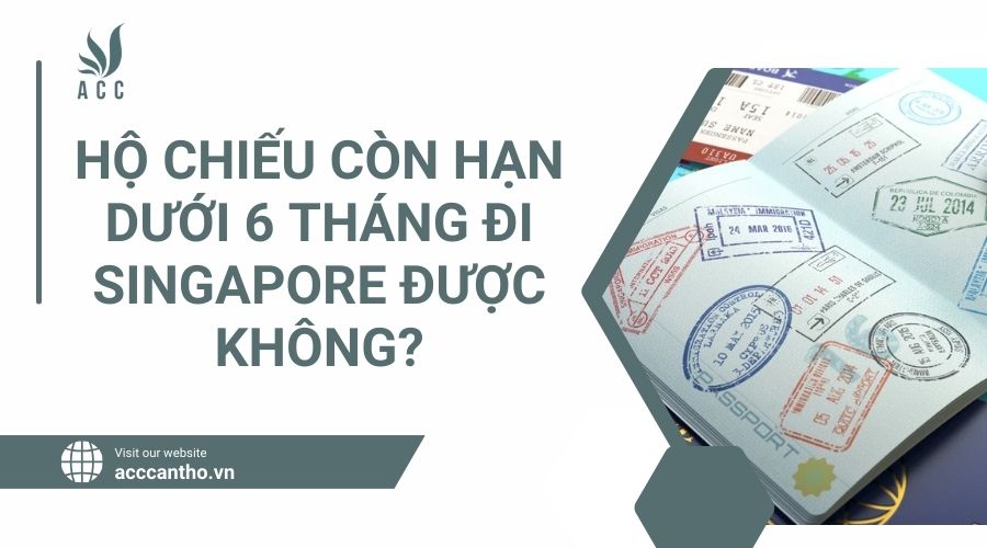 fv88 vn còn hạn dưới 6 tháng đi Singapore được không.jpg