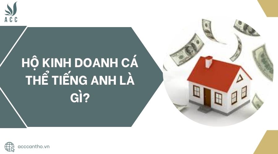 Hộ fv888 cá thể tiếng Anh là gì?