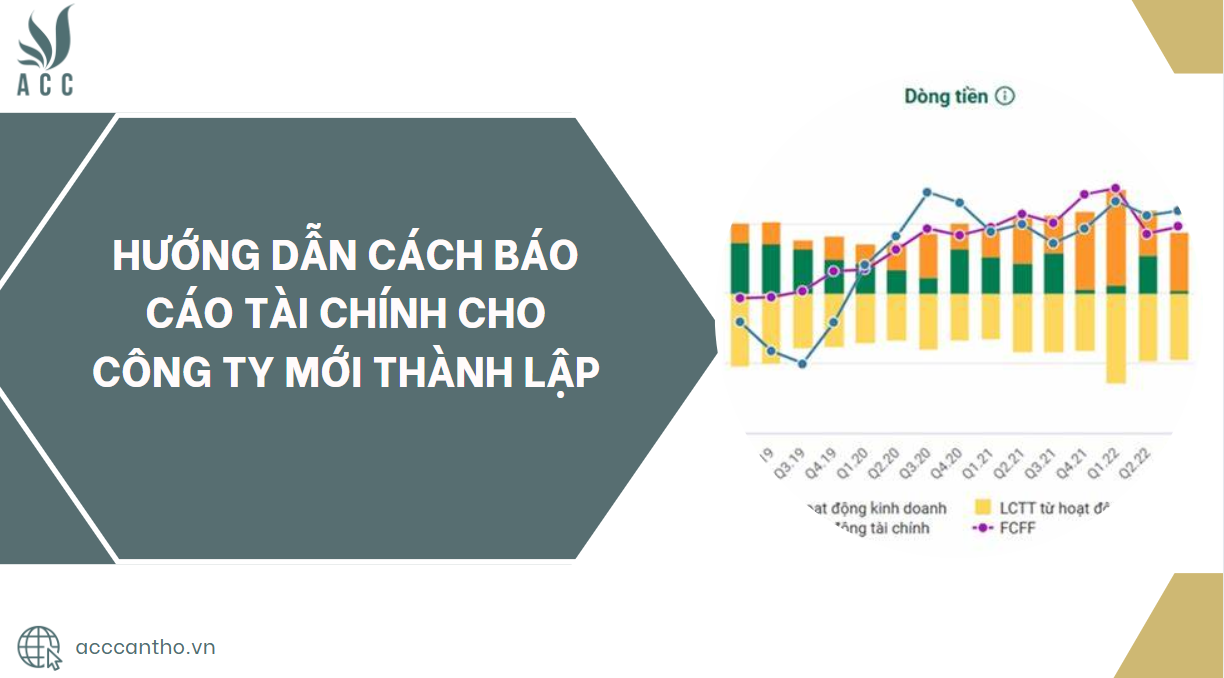 Hướng dẫn cách báo cáo tài chính cho công ty mới thành lập.jpg