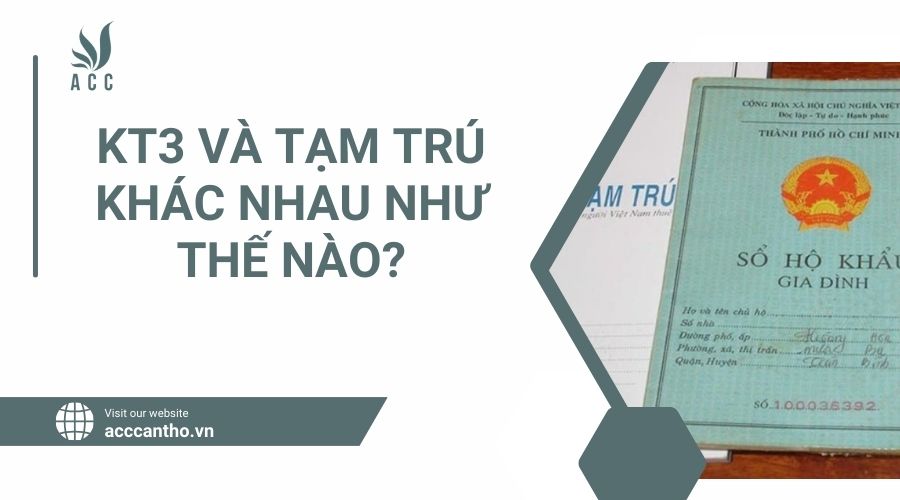 KT3 và tạm trú khác nhau như thế nào?